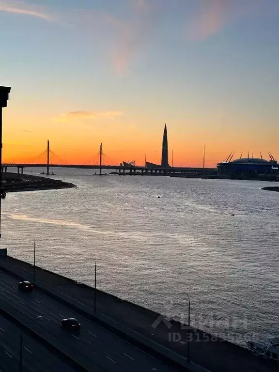 Студия Санкт-Петербург наб. Макарова, 58 (29.0 м) - Фото 0