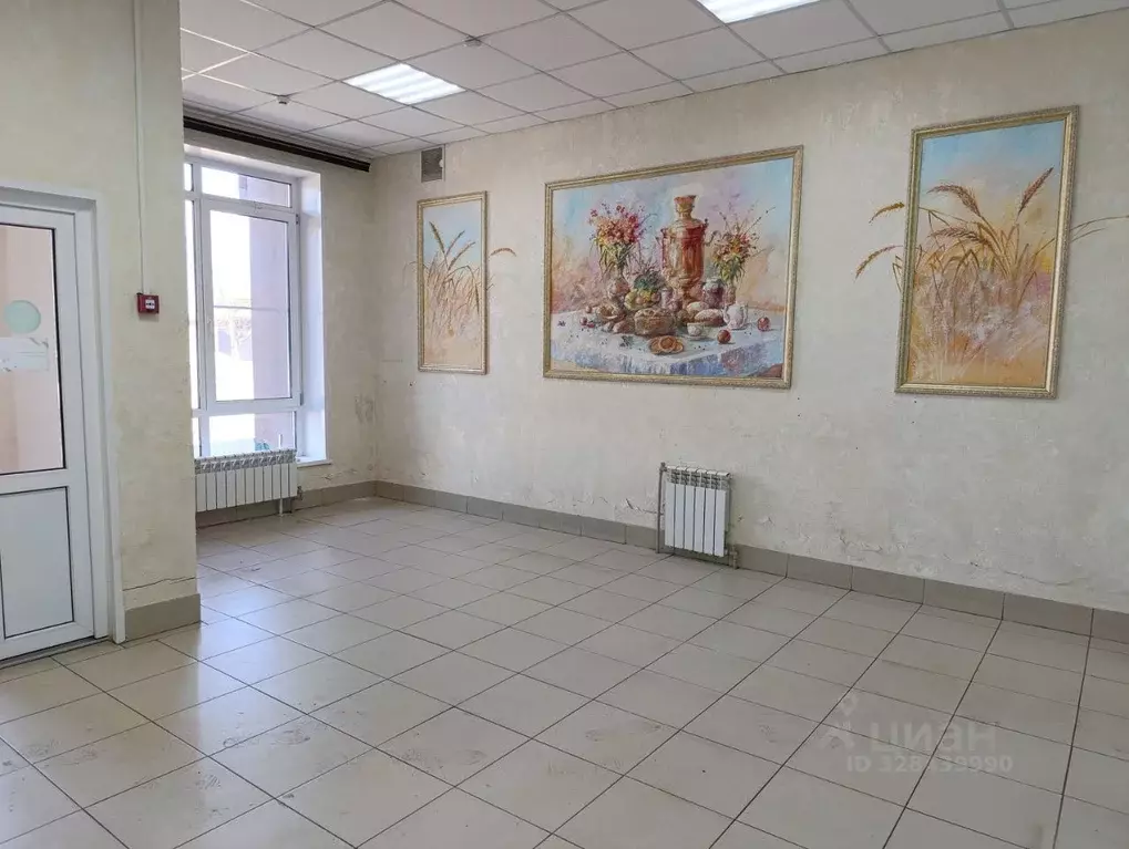 Помещение свободного назначения в Нижегородская область, Бор ул. ... - Фото 1