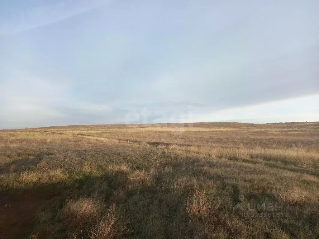 Участок в Крым, Ленинский район, с. Калиновка ул. Шевченко (6.3 сот.) - Фото 1