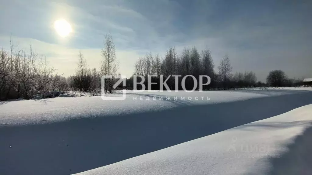 Участок в Костромская область, Кострома ул. Героев (8.1 сот.) - Фото 1