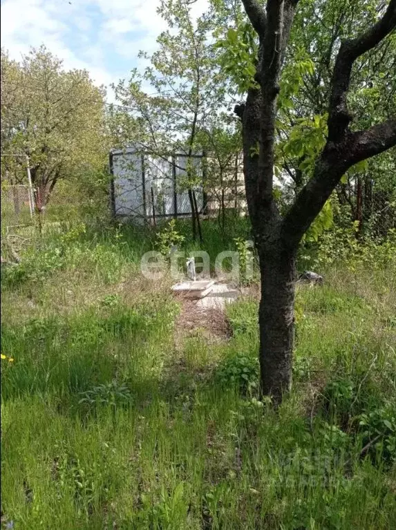 Участок в Ростовская область, Таганрог Дружба-1 ДНТ, аллея 1-я (6.0 ... - Фото 1