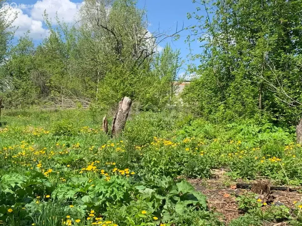 Участок в Саранск, СНТ Натуралист (4 м) - Фото 1