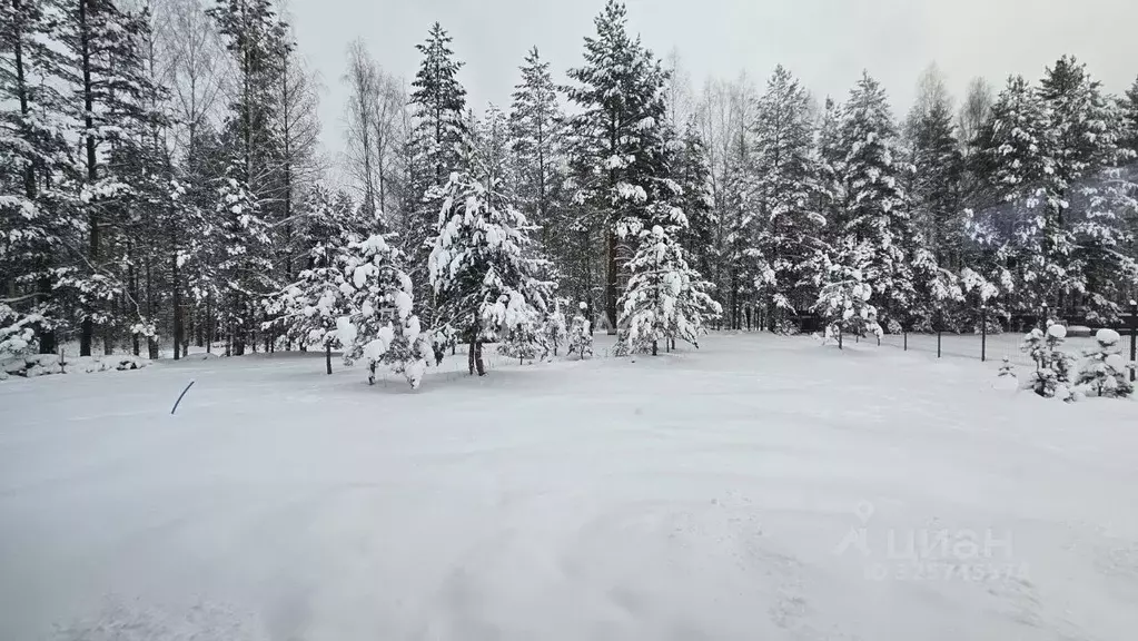 Участок в Владимирская область, Судогодский район, д. Ладога ул. Тихая ... - Фото 2