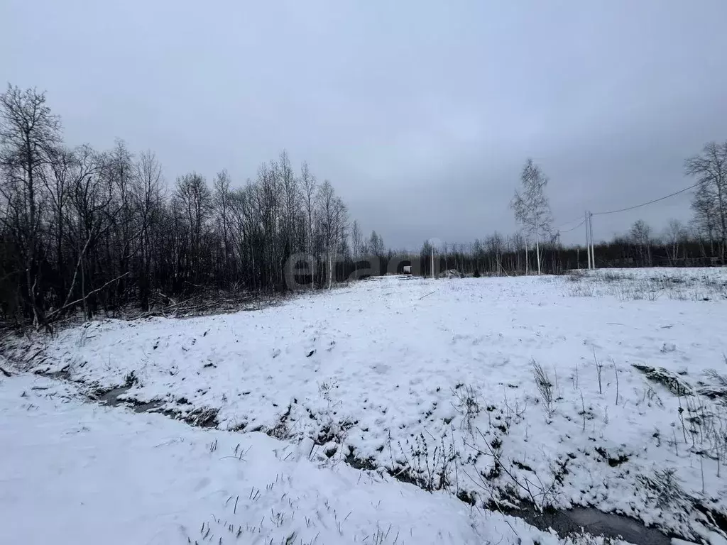 Участок в Архангельская область, Приморский муниципальный округ, ... - Фото 1