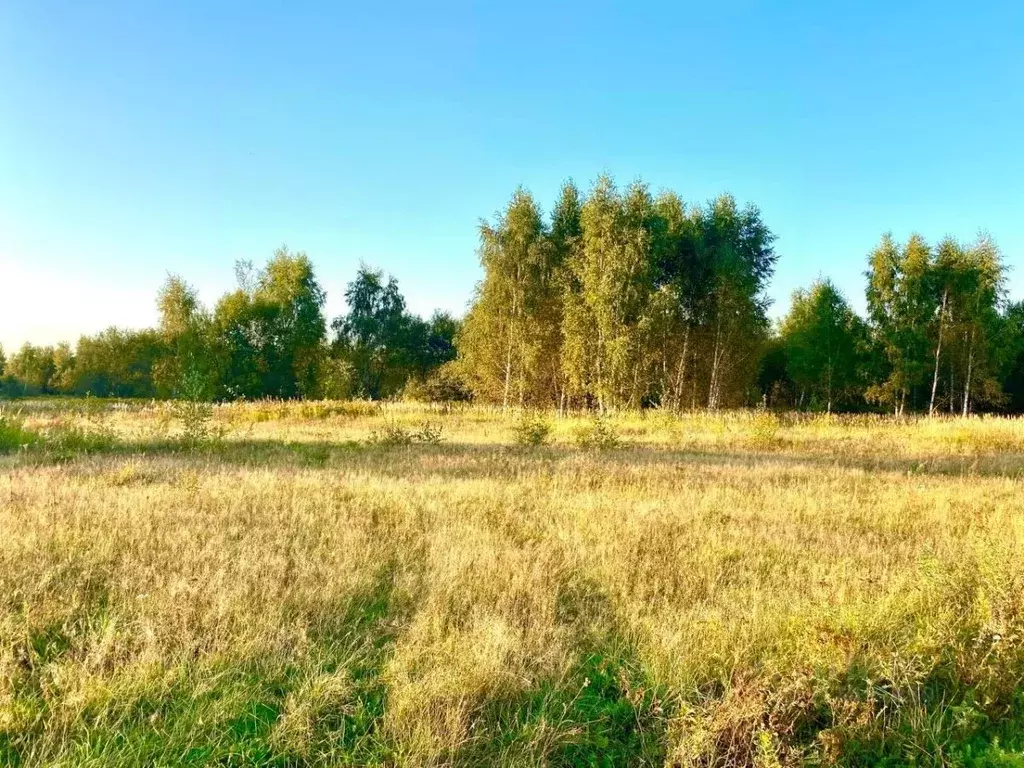 Участок в Московская область, Красногорск городской округ, д. ... - Фото 1