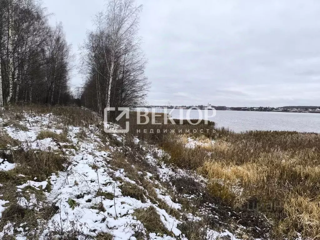 Участок в Ярославская область, Некрасовское с/пос, д. Новые Ченцы  ... - Фото 0