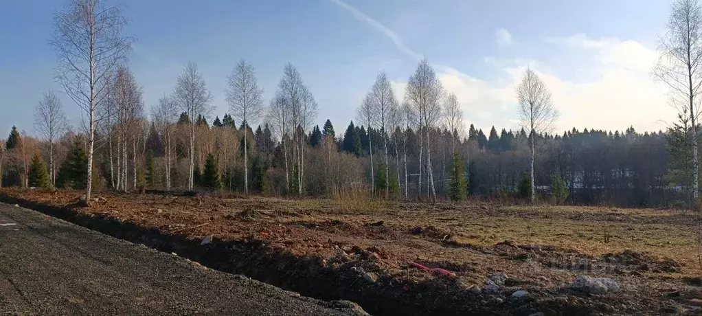 Участок в Московская область, Клин городской округ, Малахитовые дачи ... - Фото 0