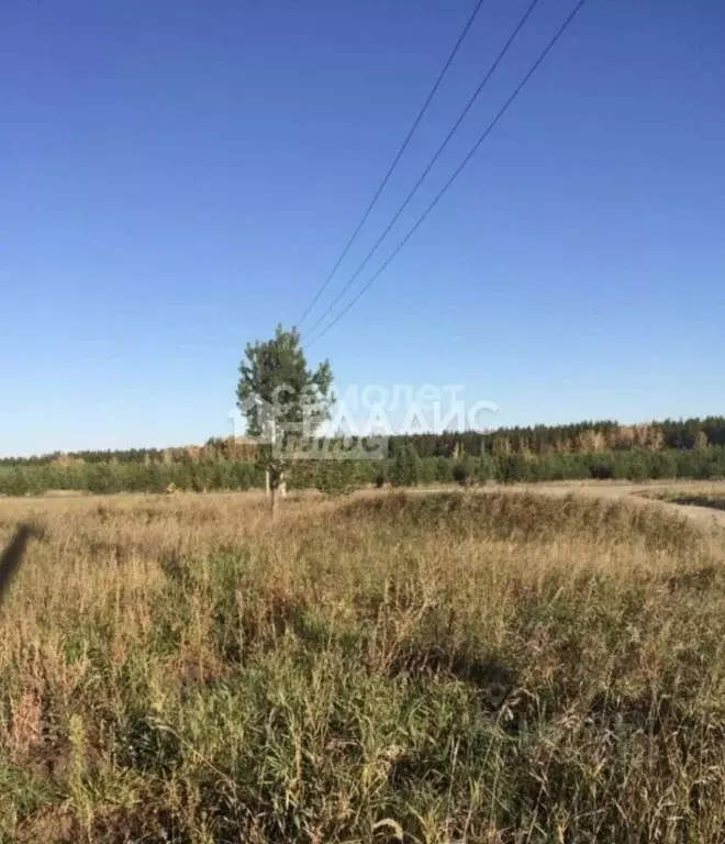 Участок в Челябинская область, с. Еткуль ул. Первомайская (24.57 сот.) - Фото 1