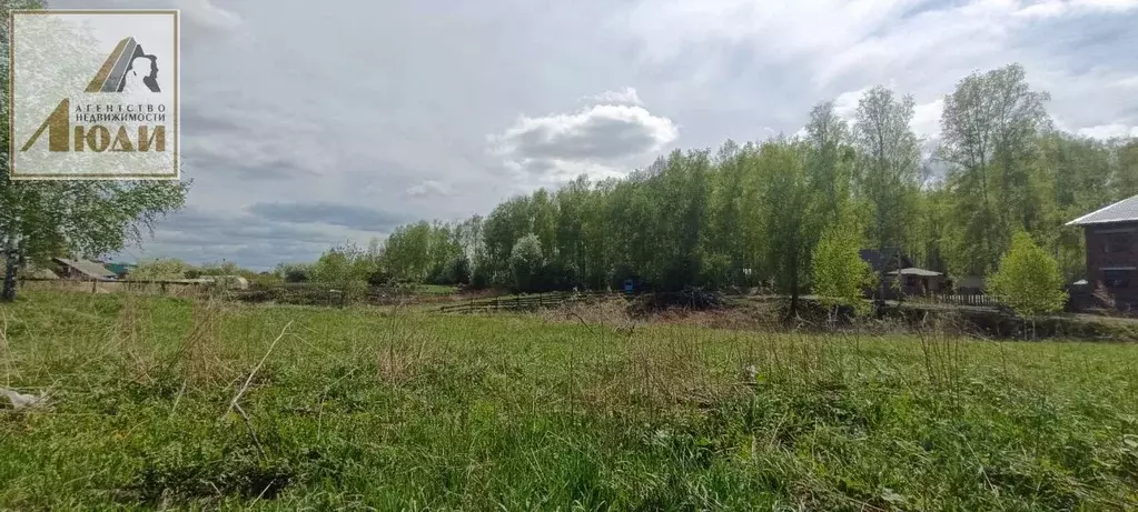 Участок в Новосибирская область, Колыванский район, с. Скала ул. ... - Фото 0