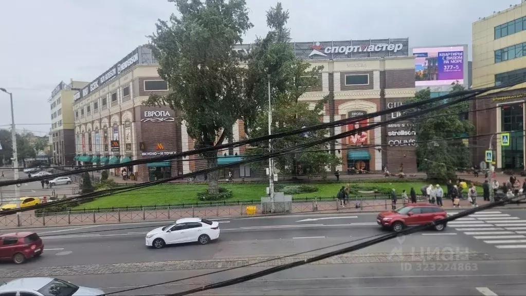 Офис в Калининградская область, Калининград Ленинский просп., 1 (13 м) - Фото 2