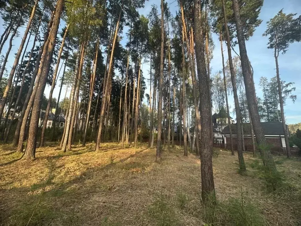 Участок в Московская область, Химки Новогорск-7 кп,  (9.0 сот.) - Фото 1