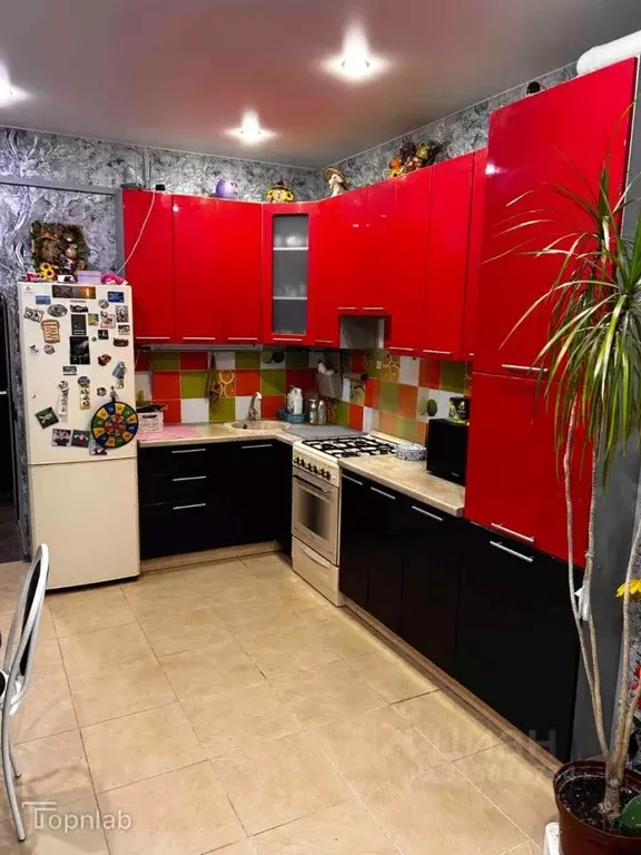 3-к кв. Владимирская область, Суздальский район, Новоалександровское ... - Фото 1