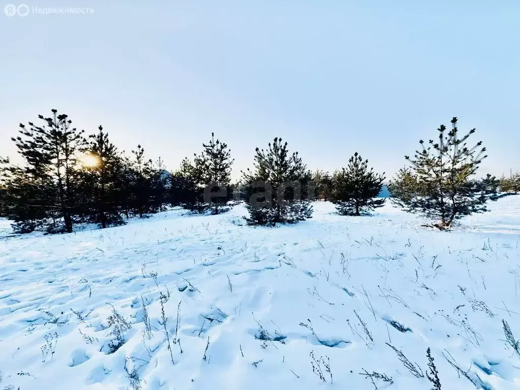 Участок в Чита, микрорайон Светлый (23.51 м) - Фото 2