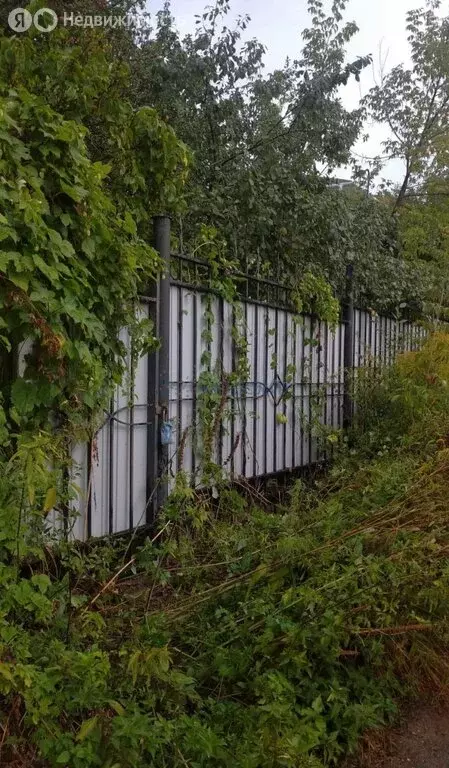 Участок в Нижний Новгород, Деловая улица, 40 (8.1 м) - Фото 1