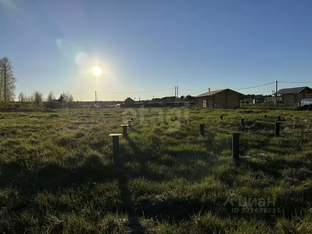 Участок в Вологодская область, д. Токарево (Спасский сельсовет) ул. ... - Фото 1