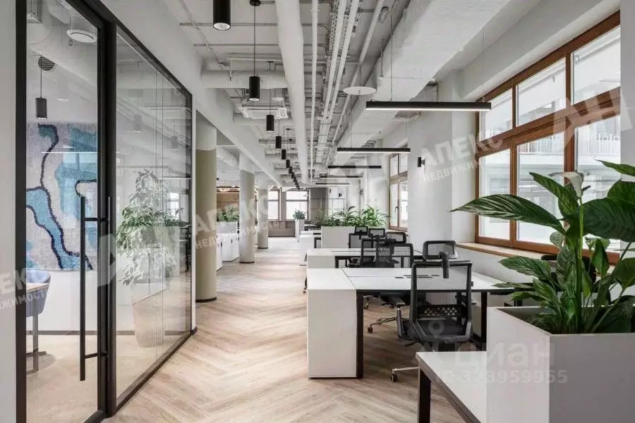 Помещение свободного назначения в Москва Ветошный пер., 13 (216 м) - Фото 2