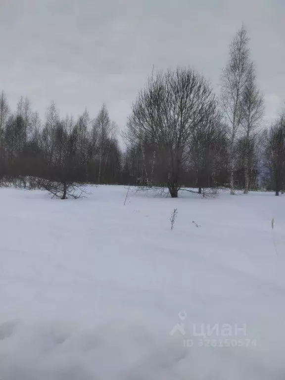 Участок, 50 сот., сельхоз (снт или днп) - Фото 1