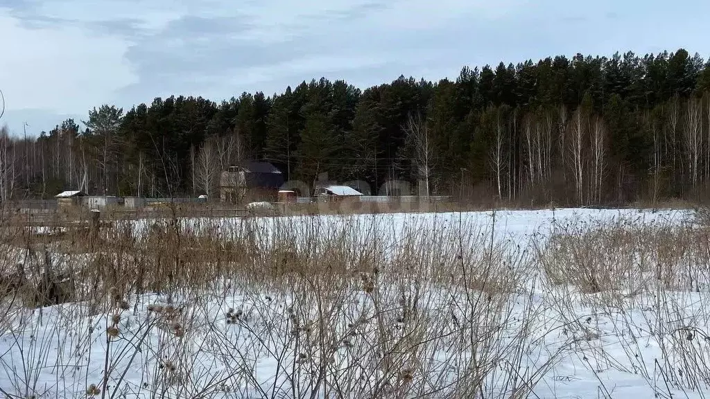 Дом в Тюменская область, Нижнетавдинский муниципальный округ, пос. ... - Фото 1
