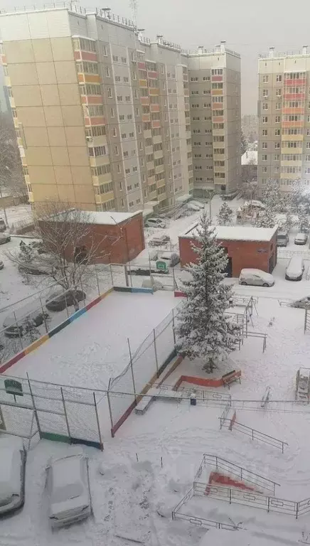 3-к кв. Красноярский край, Красноярск Николаевка мкр, ул. Бабушкина, ... - Фото 1