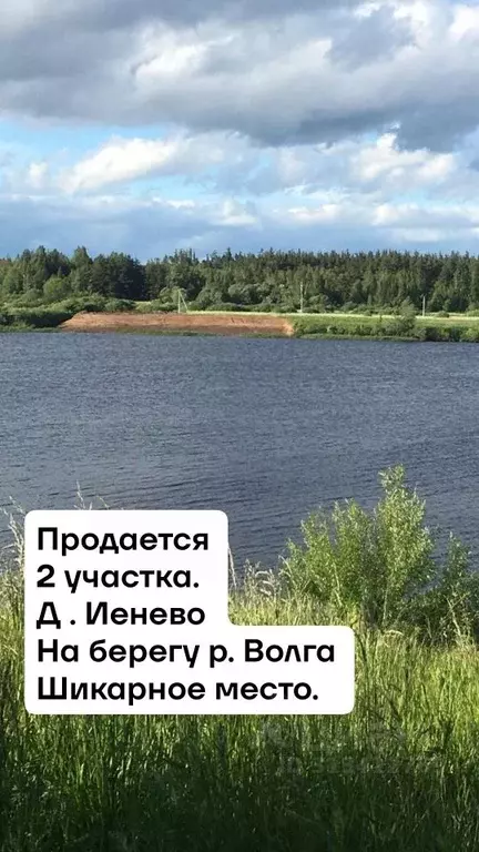 Участок в Тверская область, Калининский муниципальный округ, д. Иенево ... - Фото 1