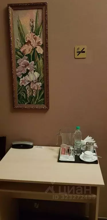 Комната Татарстан, Елабуга Казанская ул., 30 (18.0 м) - Фото 2