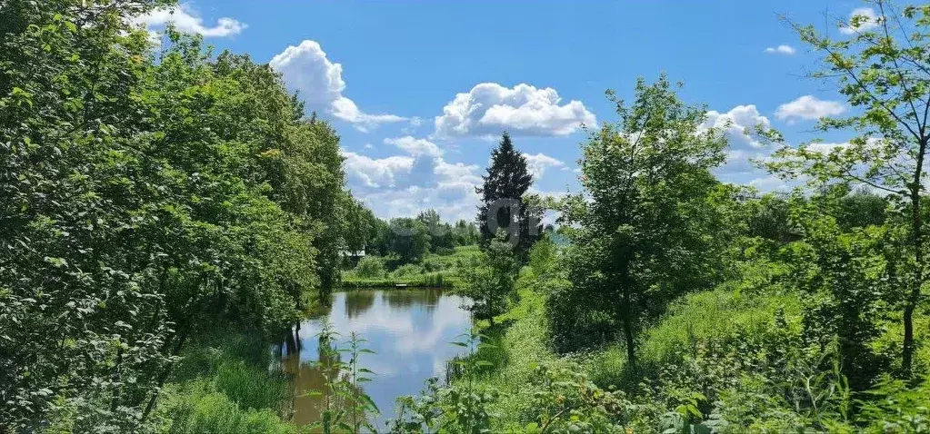 Дом в Калужская область, Село Бабынино с/пос, д. Хвалово 19 (17 м) - Фото 0