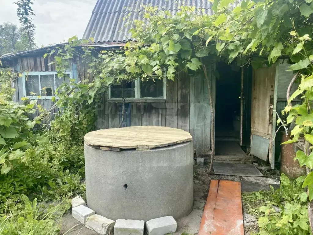 Участок в Калининградская область, Калининград Вишневый сад СНТ, ... - Фото 1