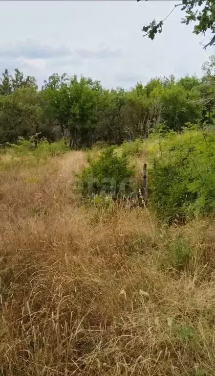 Участок в Краснодарский край, Геленджик городской округ, с. Адербиевка ... - Фото 1