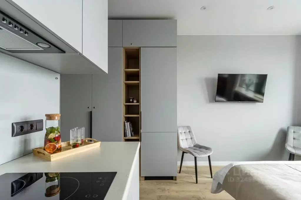 Студия Санкт-Петербург просп. Энергетиков, 2к2 (25.0 м) - Фото 2