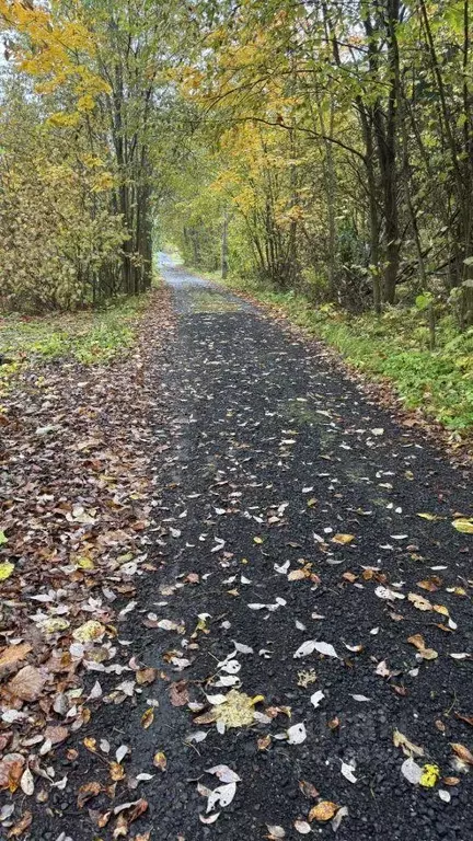 Участок, 12 сот., сельхоз (снт или днп) - Фото 1