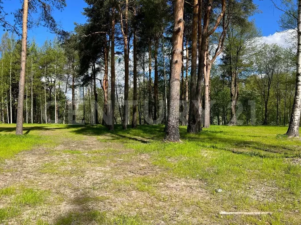 Участок в Санкт-Петербург дор. Муринская (200.0 сот.) - Фото 0