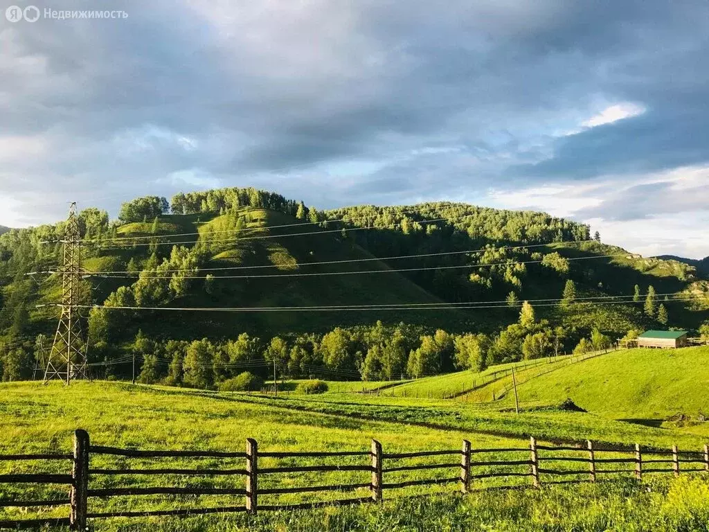 Участок в Солонешенский район, село Чегон (1034 м) - Фото 0