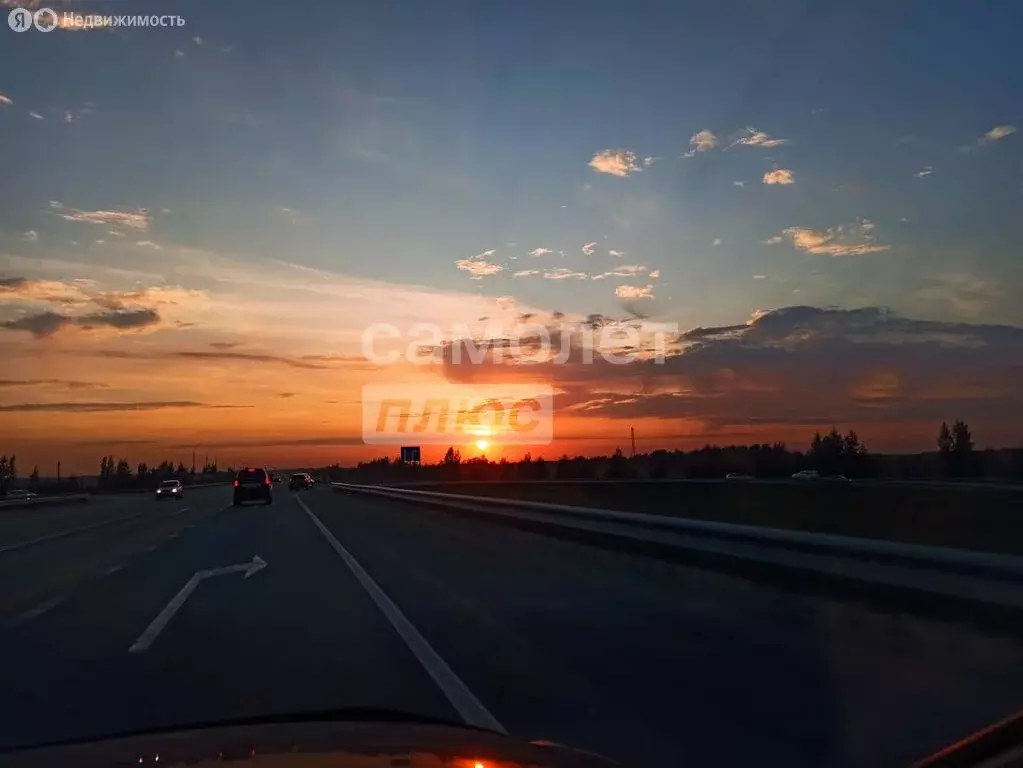 Участок в Новосибирская область, Коченёвский муниципальный район, СНТ ... - Фото 1