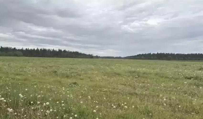 Участок, 150 сот., 0 - Фото 1