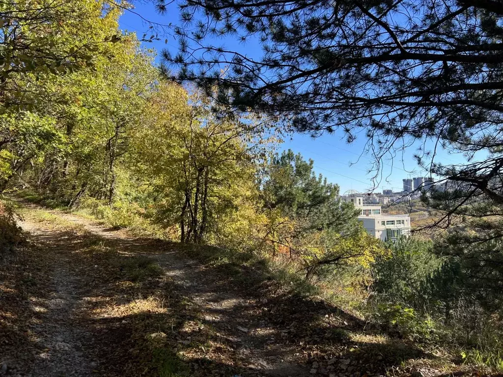 Участок в Крым, Ялта ул. Большевистская (30.0 сот.) - Фото 1