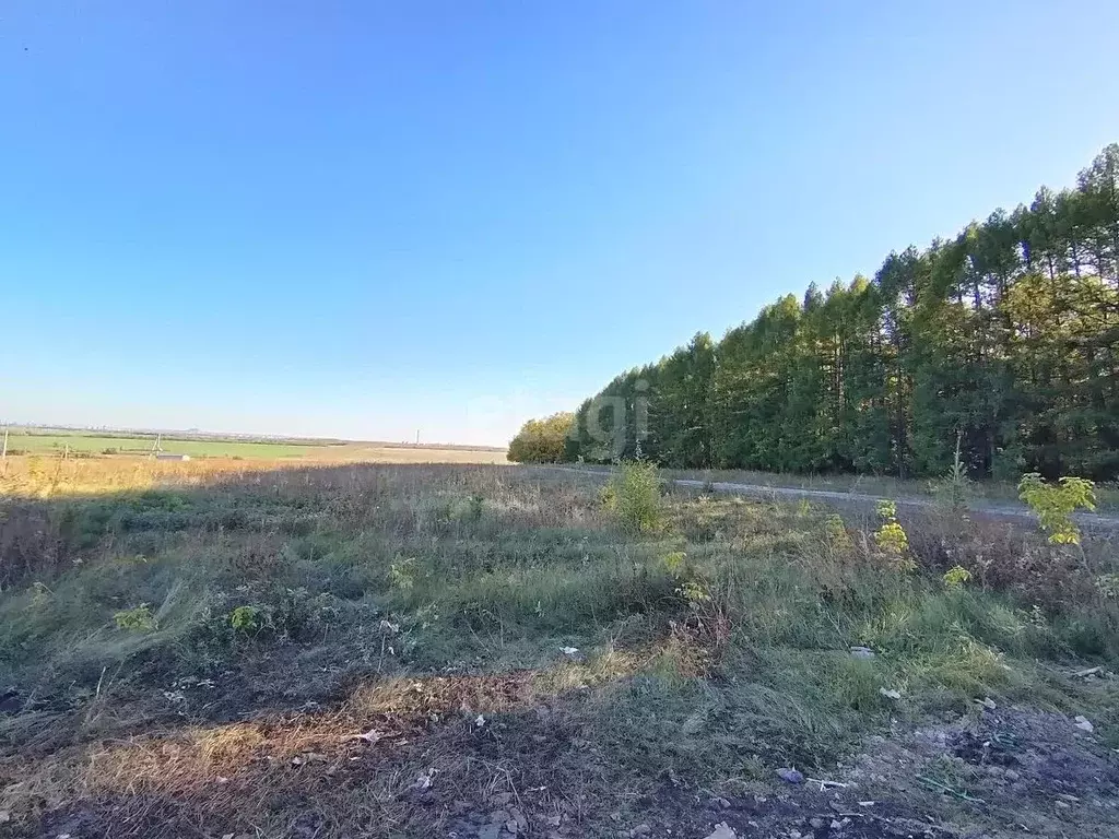 Участок в Башкортостан, Стерлитамакский район, Казадаевский сельсовет, ... - Фото 1