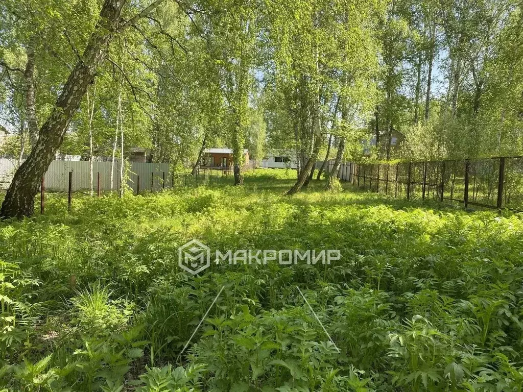 Участок в Челябинская область, Челябинск Медик садовое товарищество, ... - Фото 1