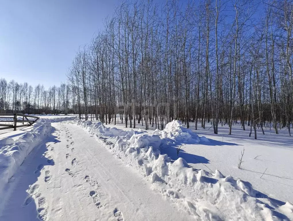 Участок в Тюменская область, Нижнетавдинский район, Геолог-2 СНТ 10-я ... - Фото 0