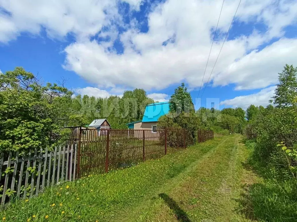 Дом в Новосибирская область, Мошковский район, Сапфир садоводческое ... - Фото 0