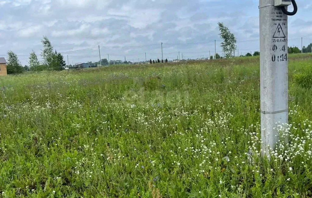 Участок в Московская область, Раменский муниципальный округ, Березки ... - Фото 1
