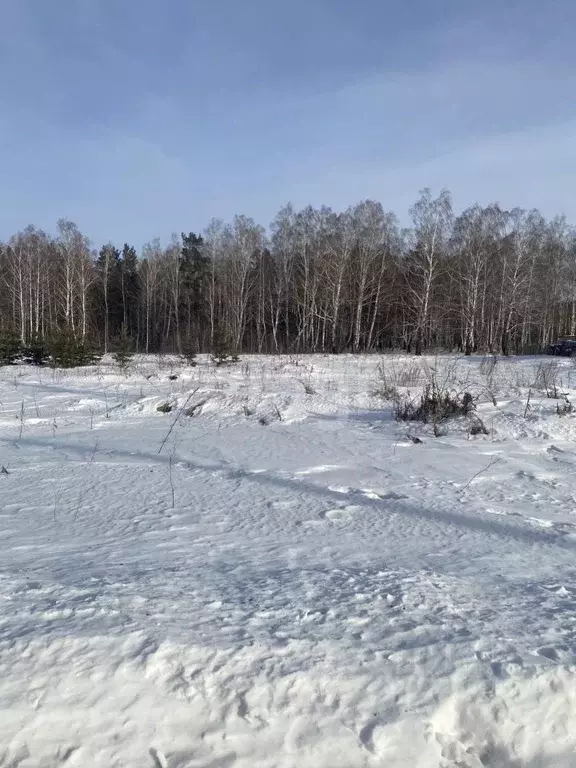 Участок в Свердловская область, Белоярский пгт  (15.0 сот.) - Фото 0