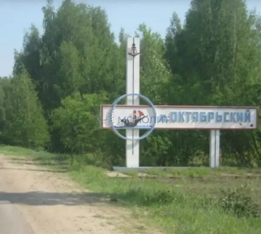 Участок в Нижегородская область, Бор Октябрьский р-н, ул. Волжская ... - Фото 1
