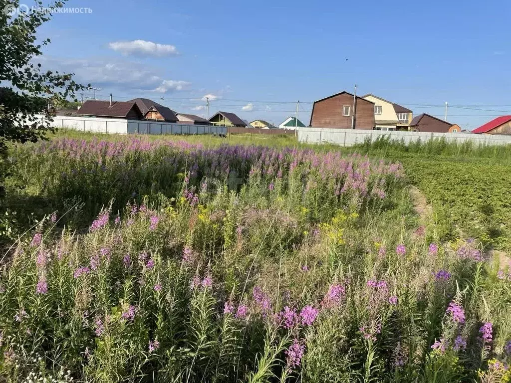 Участок в Тюменский муниципальный округ, деревня Якуши, улица Гоголя ... - Фото 2