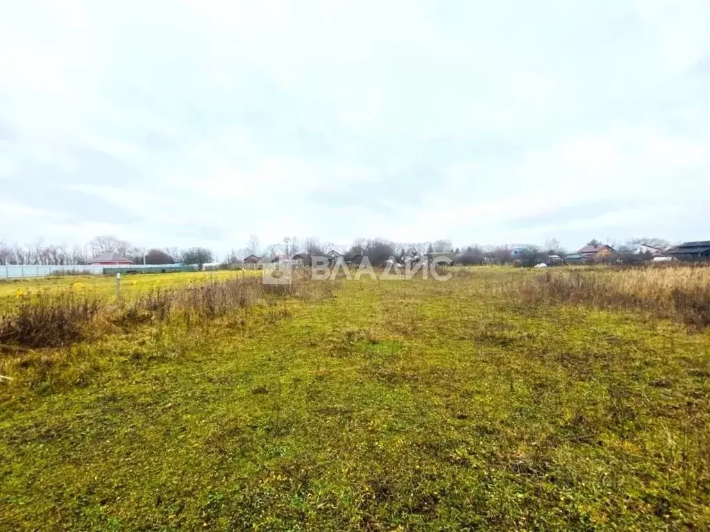 Участок в Владимирская область, Суздальский район, Селецкое ... - Фото 2