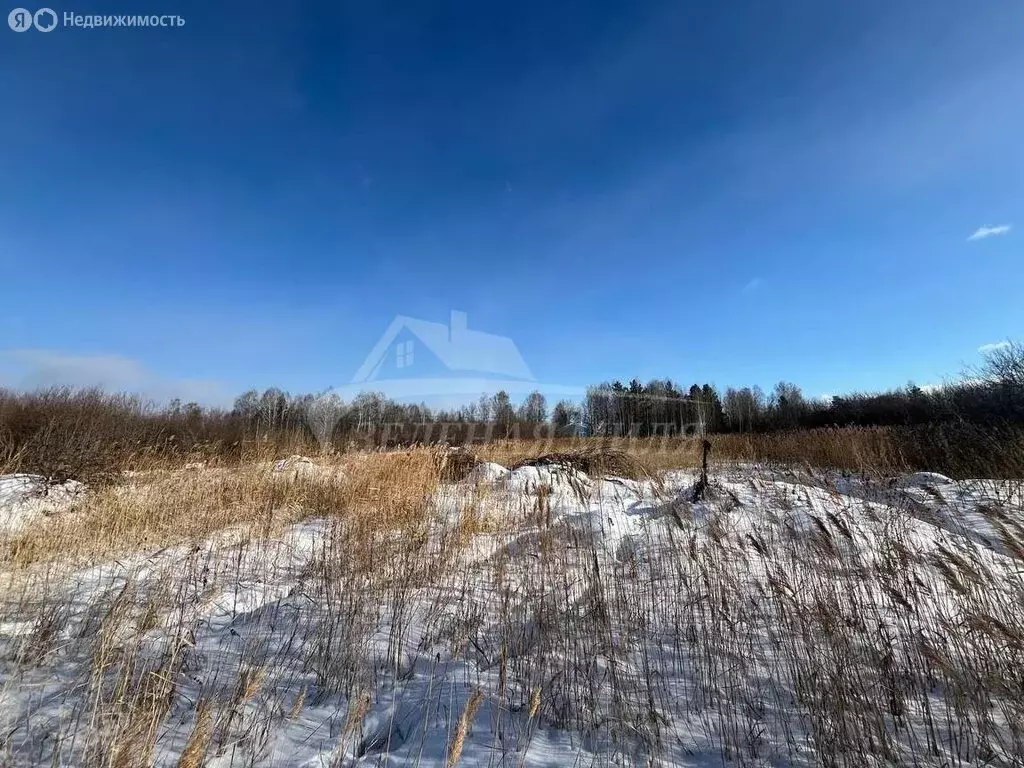 Участок в Тюмень, Чимеевская улица (10 м) - Фото 0