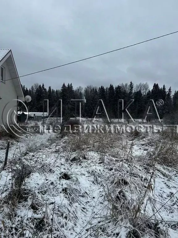 Участок в Ленинградская область, Выборгский район, пос. Селезнево  ... - Фото 1