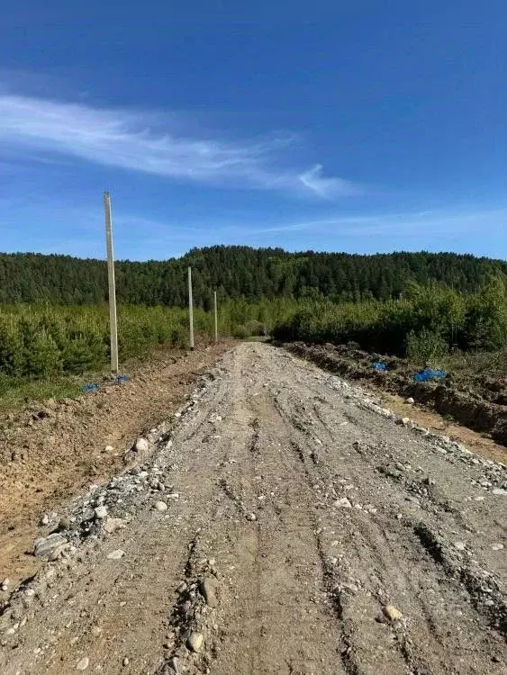 Участок в Иркутская область, Иркутский муниципальный округ, д. ... - Фото 1