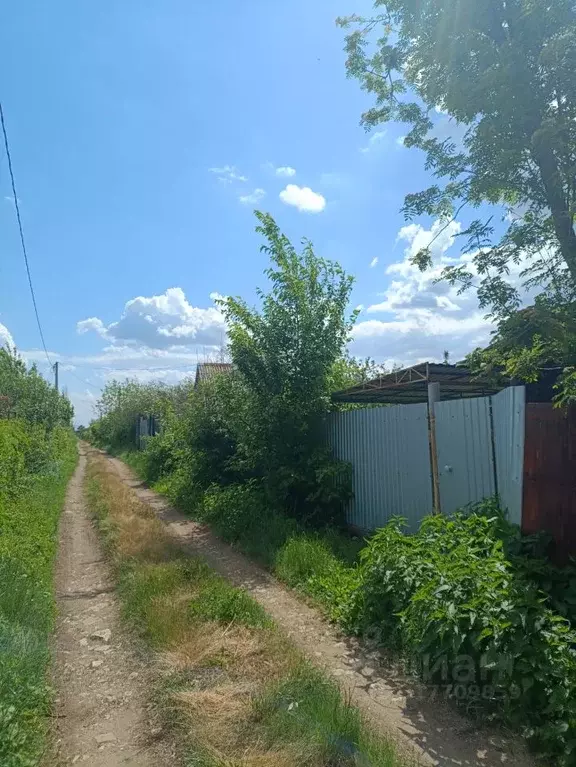 Участок в Оренбургская область, Оренбургский район, Нежинский ... - Фото 0