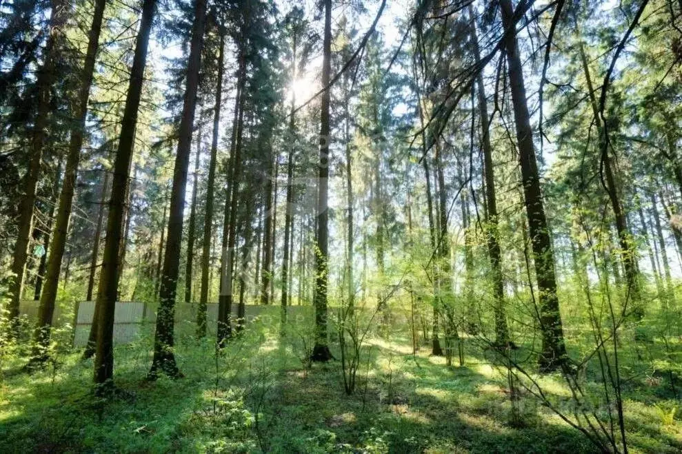 Участок в Московская область, Одинцовский городской округ, д. Бородки, ... - Фото 2