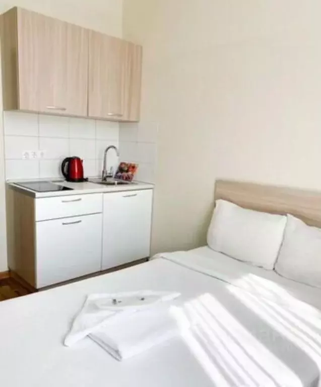 1-к кв. Красноярский край, Красноярск ул. Партизана Железняка, 40Б ... - Фото 2